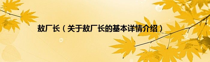 敖厂长（关于敖厂长的基本详情介绍）