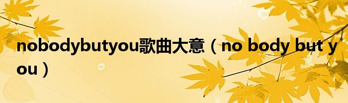 nobodybutyou歌曲大意（no body but you）