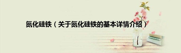 氮化硅铁（关于氮化硅铁的基本详情介绍）