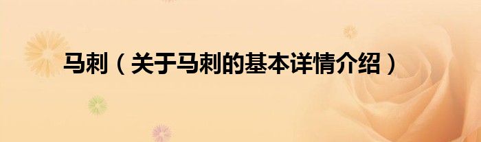 马刺（关于马刺的基本详情介绍）