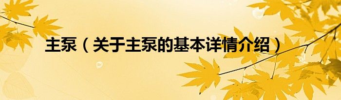 主泵（关于主泵的基本详情介绍）