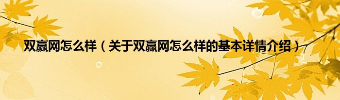 双赢网怎么样（关于双赢网怎么样的基本详情介绍）