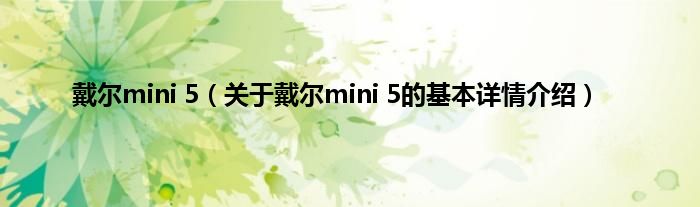戴尔mini 5（关于戴尔mini 5的基本详情介绍）