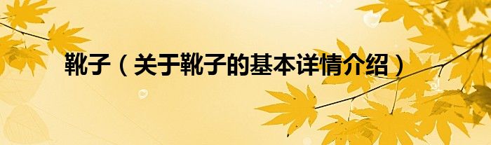 靴子（关于靴子的基本详情介绍）
