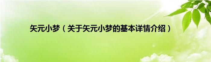 矢元小梦（关于矢元小梦的基本详情介绍）