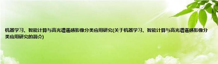 机器学习、智能计算与高光谱遥感影像分类应用研究(关于机器学习、智能计算与高光谱遥感影像分类应用研究的简介)