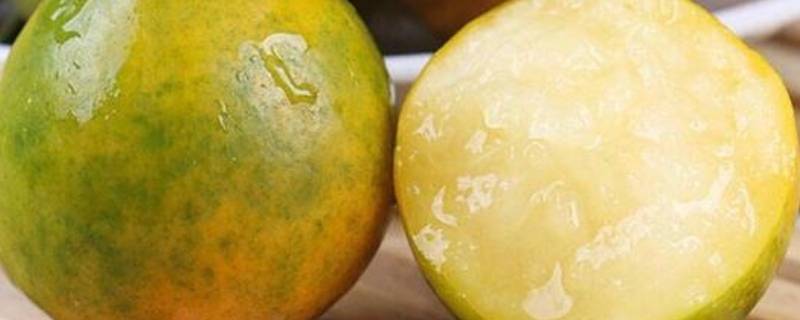 香妃柚可以带皮吃吗