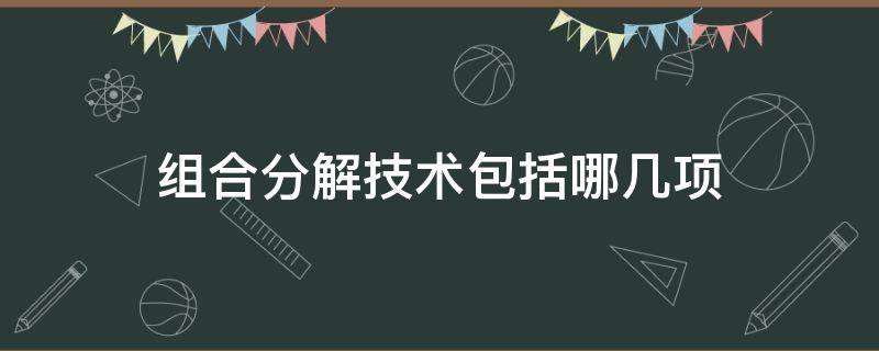 组合分解技术包括哪几项