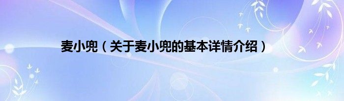 麦小兜（关于麦小兜的基本详情介绍）