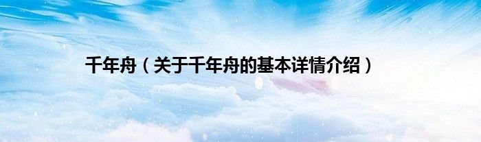 千年舟（关于千年舟的基本详情介绍）