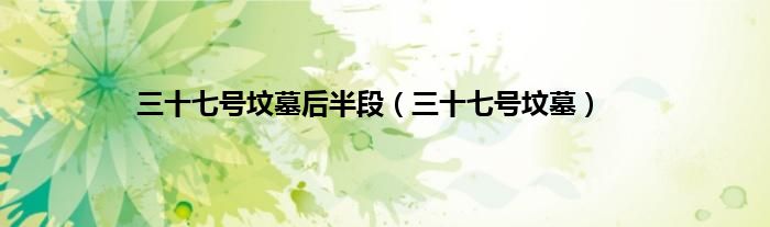 三十七号坟墓后半段（三十七号坟墓）