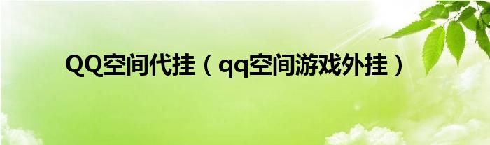 QQ空间代挂(qq空间游戏外挂)
