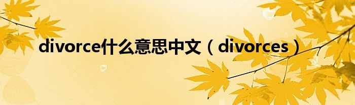divorce什么意思中文（divorces）
