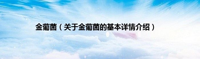 金葡菌（关于金葡菌的基本详情介绍）