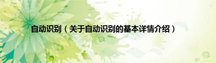 自动识别（关于自动识别的基本详情介绍）