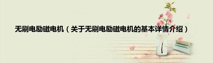 无刷电励磁电机（关于无刷电励磁电机的基本详情介绍）