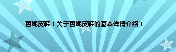 芭妮皮鞋（关于芭妮皮鞋的基本详情介绍）