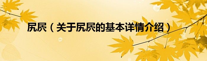 尻屄（关于尻屄的基本详情介绍）